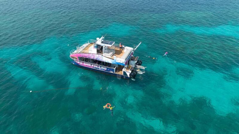 Cairns: All-Inclusive Great Barrier Reef Half-Day Snorkeling - Authentic Encounters and Honest Reviews