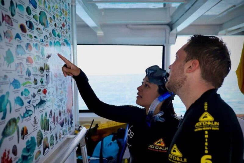 Cairns: All-Inclusive Great Barrier Reef Half-Day Snorkeling - Final Thoughts