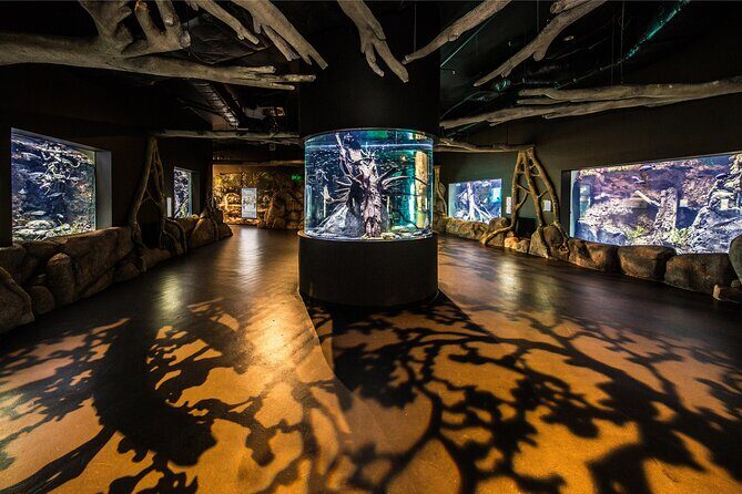Cairns Aquarium by Twilight Tour - Frequently Asked Questions