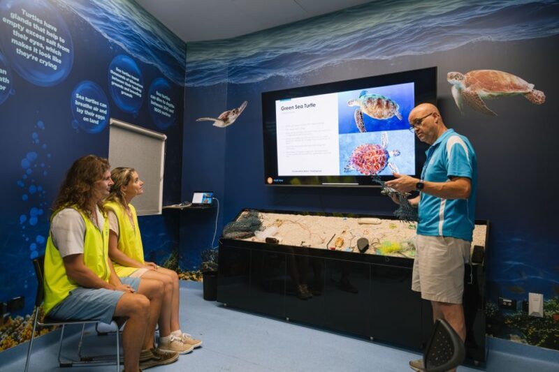 Cairns: Aquarium Entry Ticket and Turtle Rehabilitation Tour - Who Will Love This Tour?