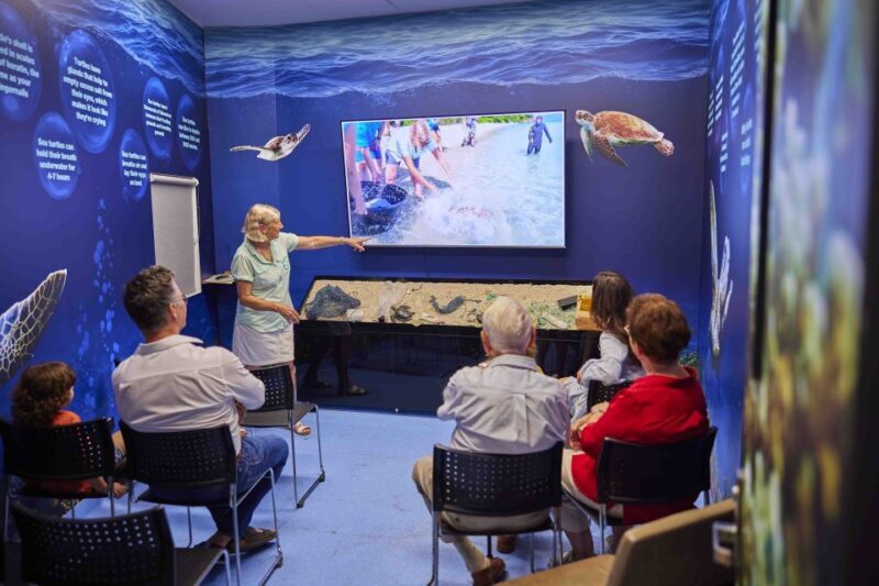 Cairns: Aquarium Entry Ticket and Turtle Rehabilitation Tour - FAQ