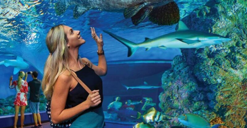 Cairns Aquarium General Admission Ticket - A Closer Look at Cairns Aquarium