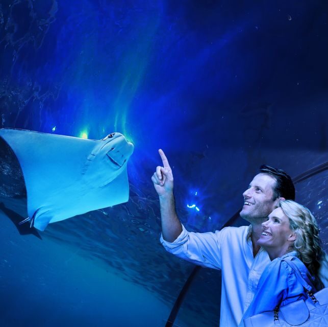 Cairns: Aquarium Guided Twilight Tour with 3-Course Dinner - Cairns: Aquarium Guided Twilight Tour with 3-Course Dinner – a Detailed Review