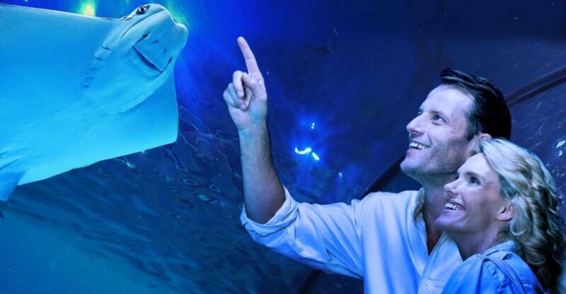 Cairns: Aquarium Guided Twilight Tour with 3-Course Dinner - Authentic Reviews & Traveler Insights
