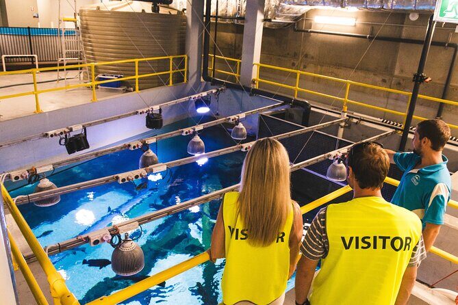 Cairns Aquarium Marine Life Encounter Ticket - A Closer Look at the Cairns Aquarium Marine Life Encounter Tour