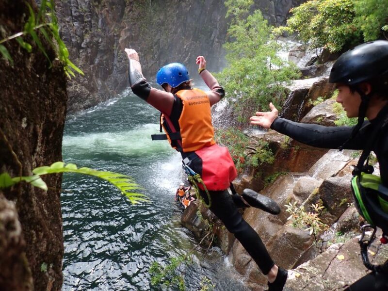 Cairns: Behana Gorge Rainforest Adventure Tour - Key Points