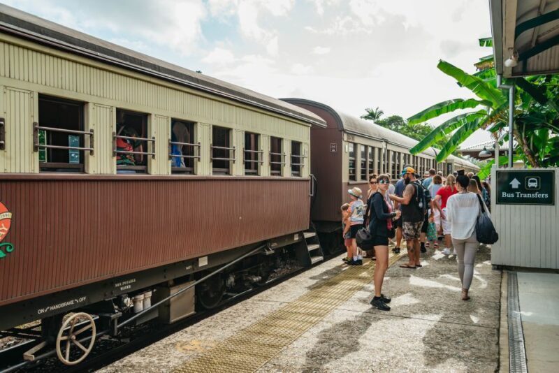 Cairns: Best of the Kuranda Rainforest Full-Day Tour & Lunch - A Detailed Look at the Tour