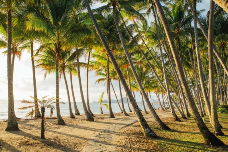 Cairns: Cairns City Sights & Surrounds Half Day Tour - Key Points