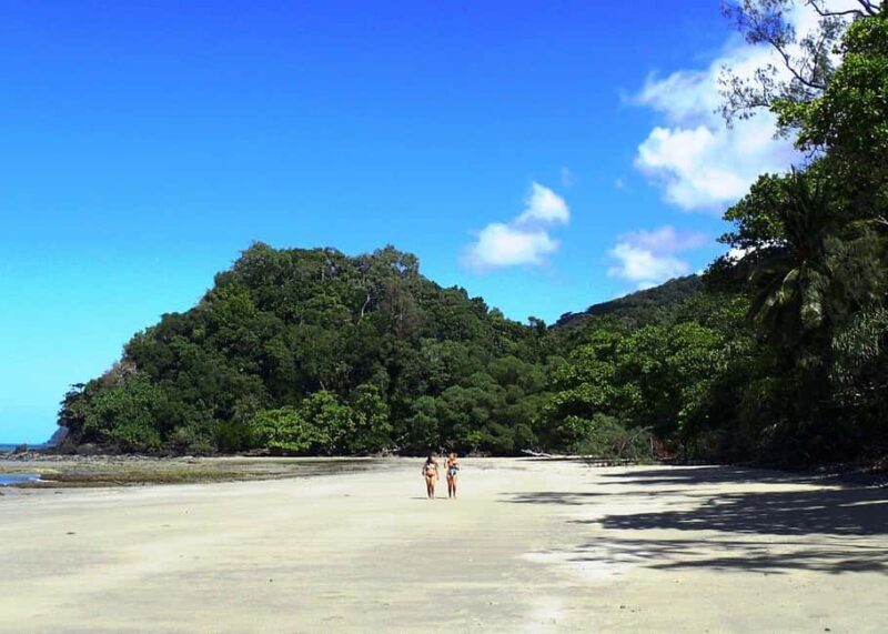Cairns: Cape Tribulation, Beaches, Crocs & Swimming Day Tour - Key Points