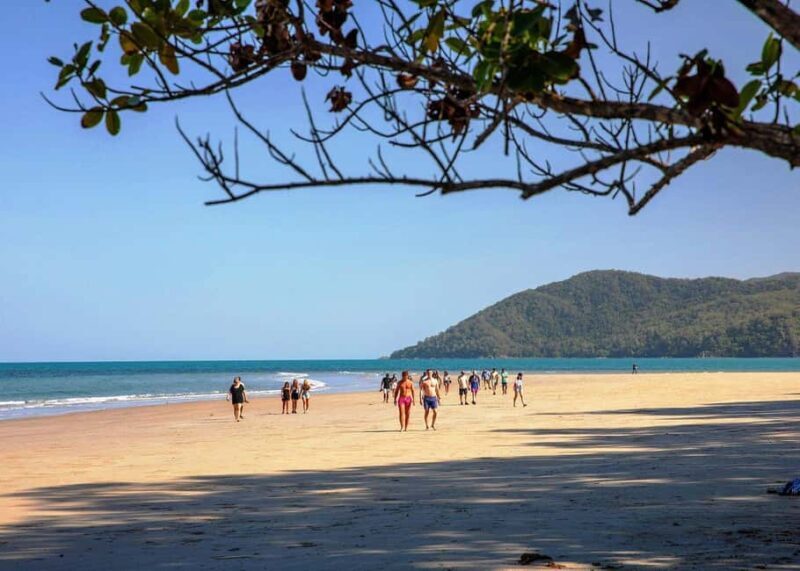Cairns: Cape Tribulation, Beaches, Crocs & Swimming Day Tour - The Sum Up
