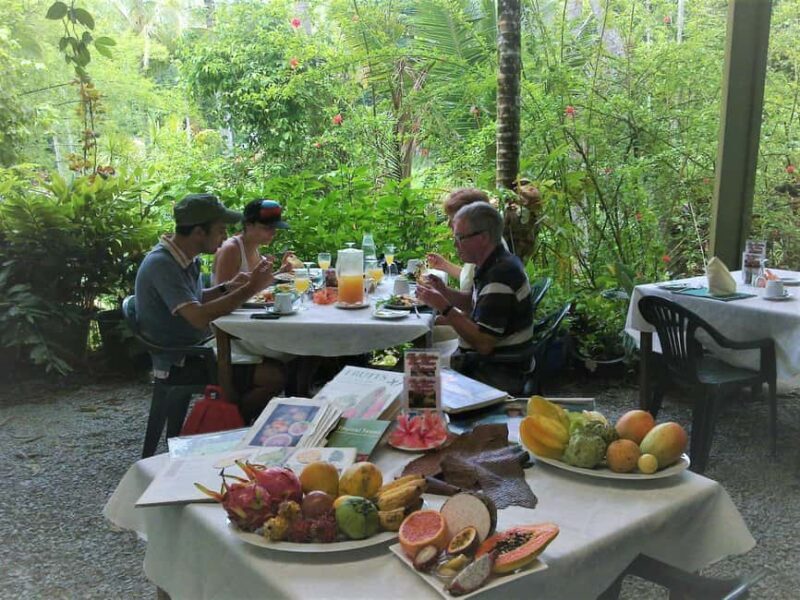 Cairns: Cape Tribulation, Daintree, Mossman and Port Douglas - The Sum Up: Who Is This Tour Best Suited For?