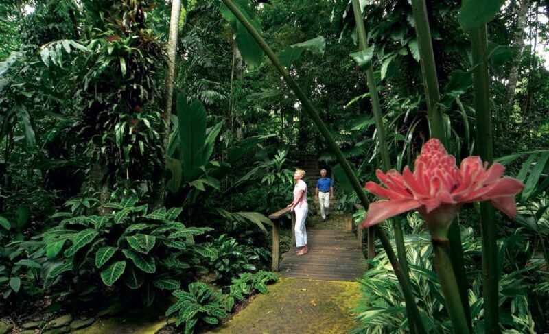 Cairns: City Sights Tour with Evening Dinner Cruise - FAQ