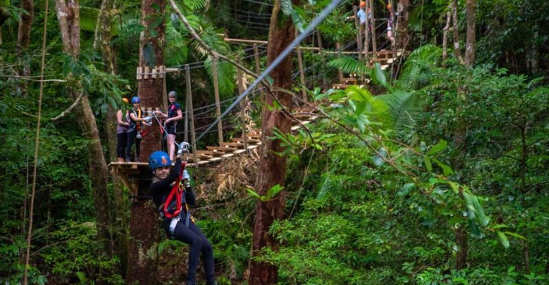 Cairns: Daintree Rainforest Canopy Ziplining Tour - Cairns: Daintree Rainforest Canopy Ziplining Tour