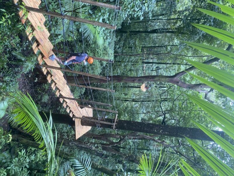 Cairns: Daintree Rainforest Canopy Ziplining Tour - FAQ