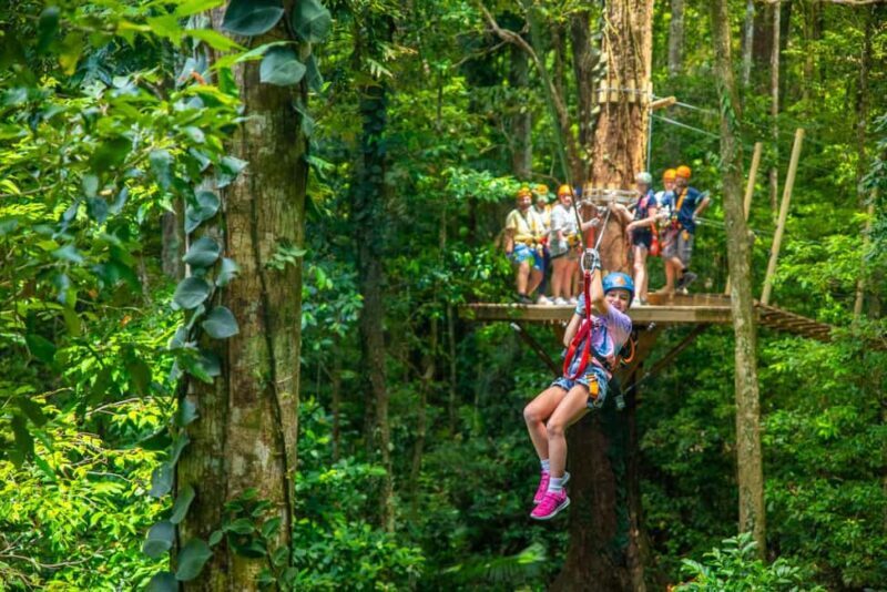 Cairns: Daintree Rainforest Canopy Ziplining Tour - Final Reflection
