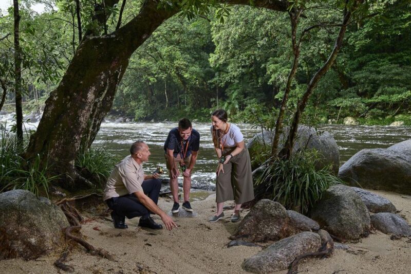 Cairns: Daintree Rainforest & Cape Tribulation Day Trip - What Travelers Say
