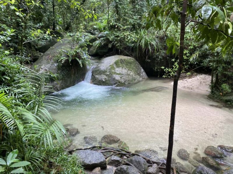 Cairns: Daintree River Cruise and Mossman Gorge - Authentic Experiences and Authenticity