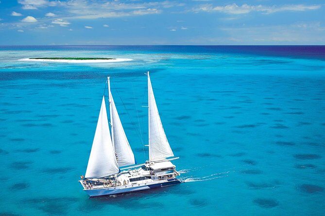 Cairns: Enjoy Dunk Island | Small Group | Outer Reef Snorkel - Experience Quality and Atmosphere