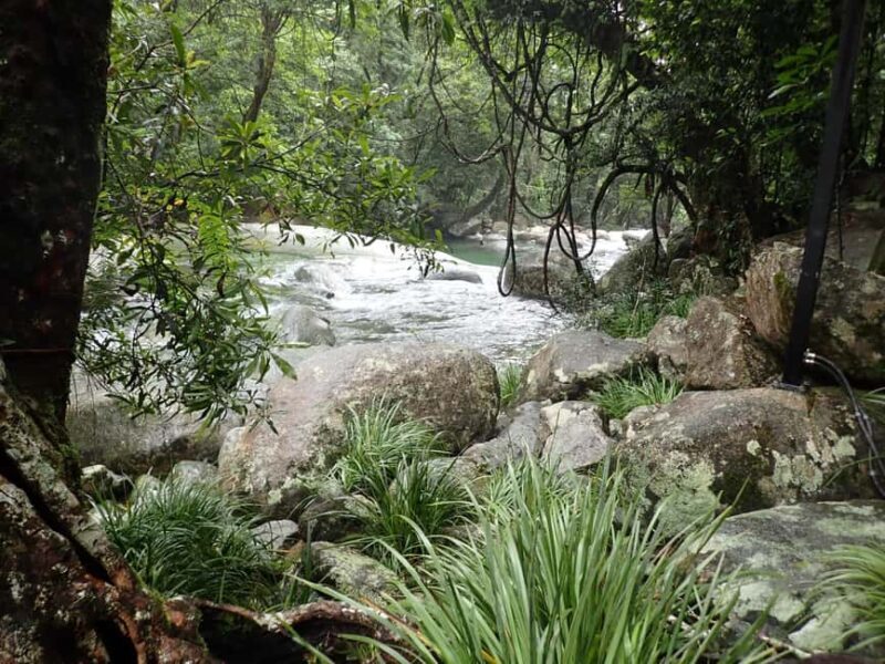 Cairns: Explorer Tour- Cairns Waterfalls - Cairns: Explorer Tour - Cairns Waterfalls