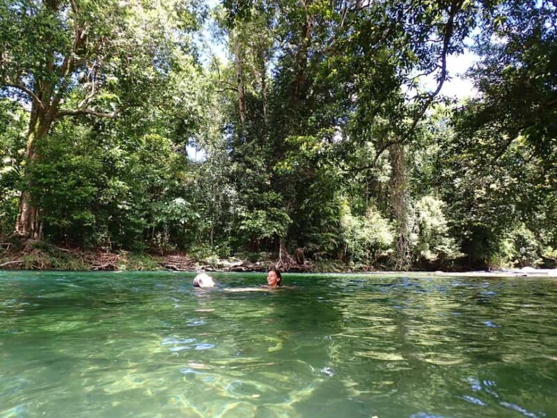 Cairns: Explorer Tour- Cairns Waterfalls - Key Points