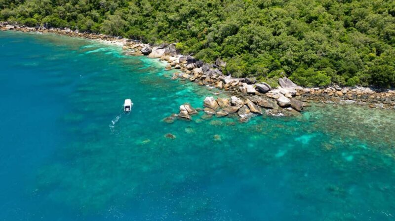 Cairns: Fitzroy Island Ferry, optional lunch, tours, snorkel - The Sum Up