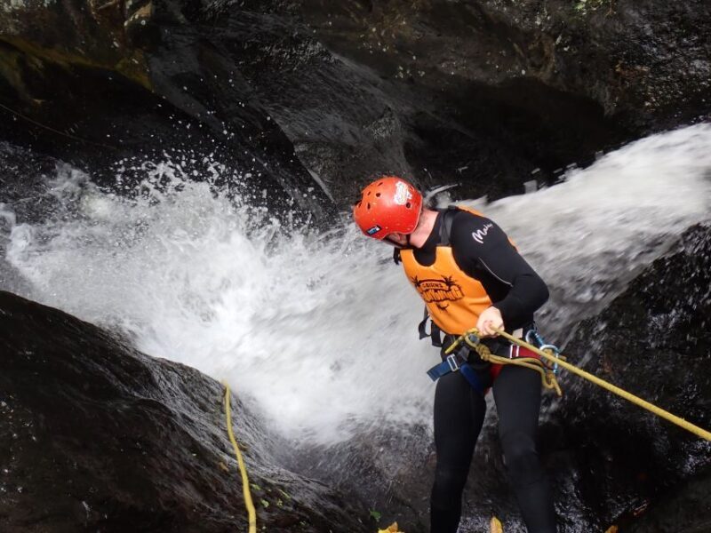 Cairns Full-Day Canyoning Adventure tour - Who Should Consider This Tour?