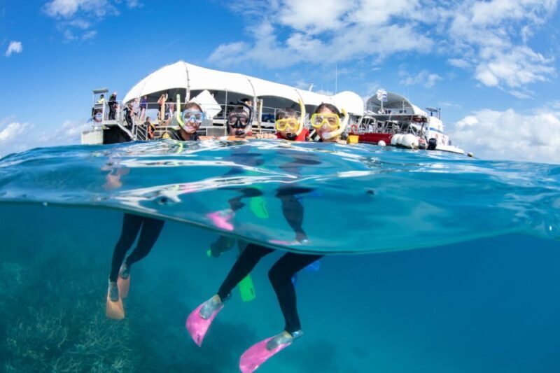 Cairns: Full Day Great Barrier Reef Pontoon Experience - A detailed look at what you can expect