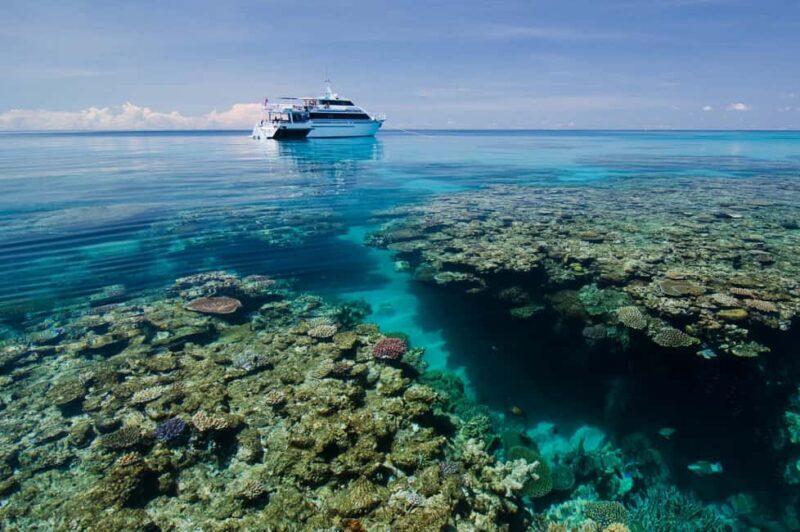 Cairns: Great Barrier Reef 3-Day Liveaboard Dive Trip - An In-Depth Look at the Cairns Great Barrier Reef 3-Day Liveaboard