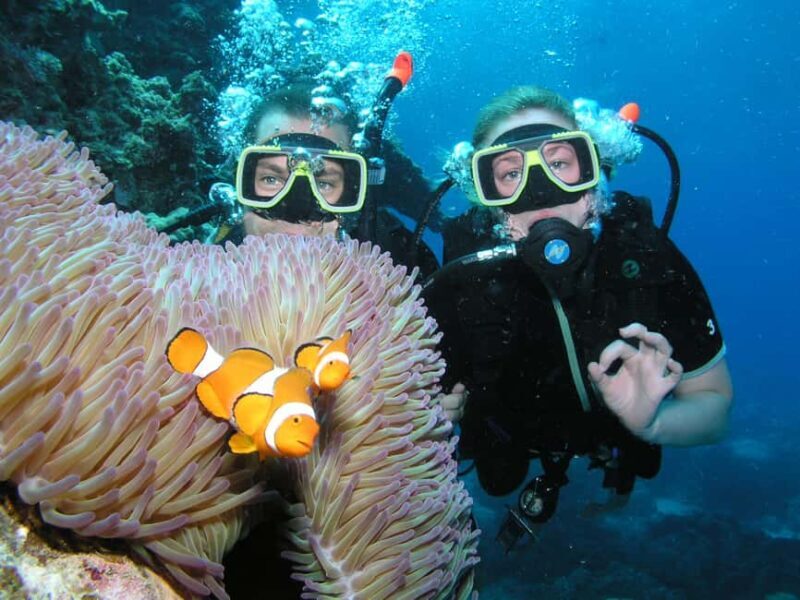 Cairns: Great Barrier Reef 3-Day Liveaboard Dive Trip - What We Loved and What to Consider