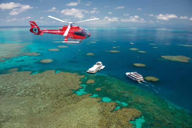 Cairns: Great Barrier Reef Cruise & 10 Minute Helicopter - Highlights of the Reef Exploration