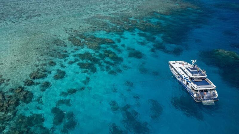 Cairns: Great Barrier Reef Full-Day Tour - Key Points