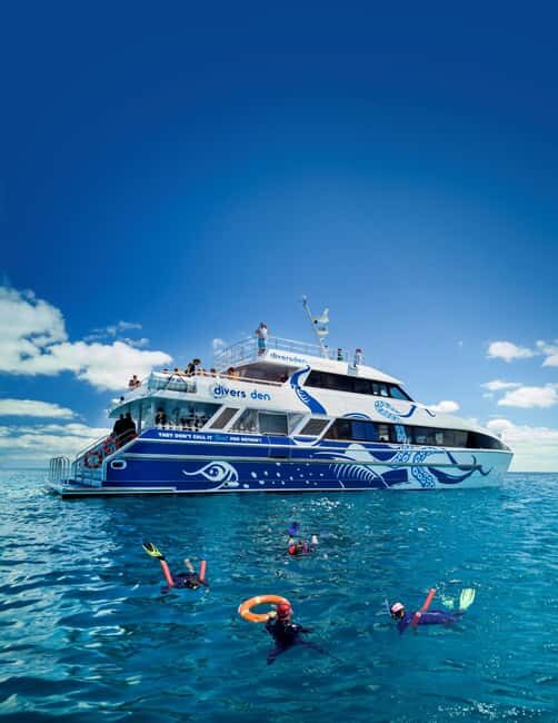 Cairns: Great Barrier Reef Full-Day Tour - An In-Depth Look at the Great Barrier Reef Tour