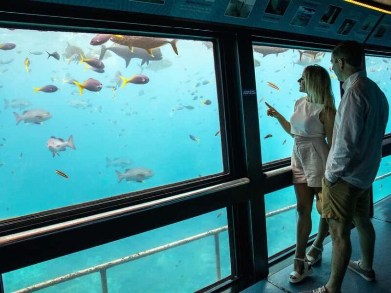Cairns: Great Barrier Reef Pontoon - Indulgence Package - Introduction