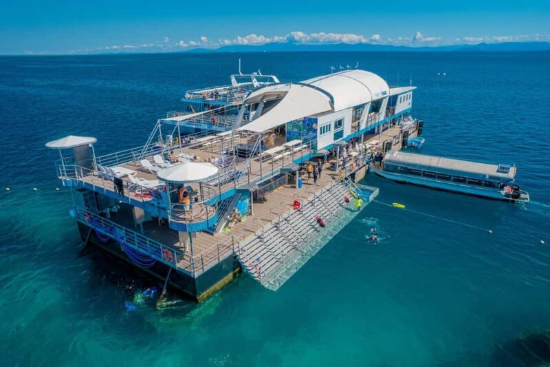 Cairns: Great Barrier Reef Pontoon with Water Activities - A Close Look at the Experience