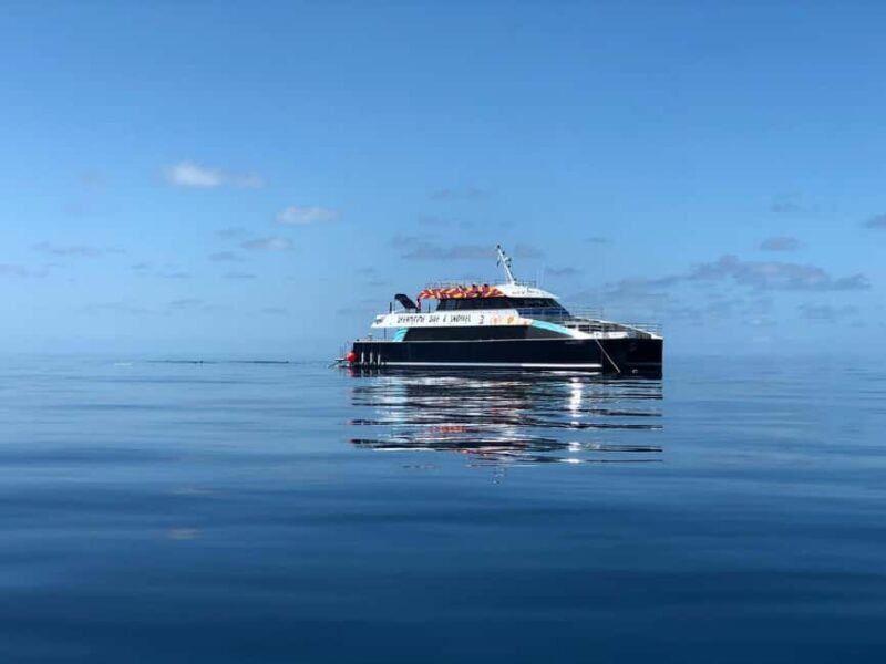 Cairns: Great Barrier Reef Snorkeling Cruise with Lunch - Key Points