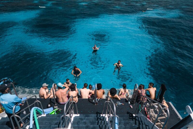 Cairns: Great Barrier Reef Snorkeling Cruise with Lunch - The Experience in Detail