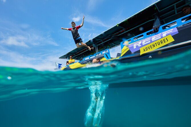 Cairns Half Day Tour a Great Barrier Reef Snorkeling Experience - The Experience in Detail