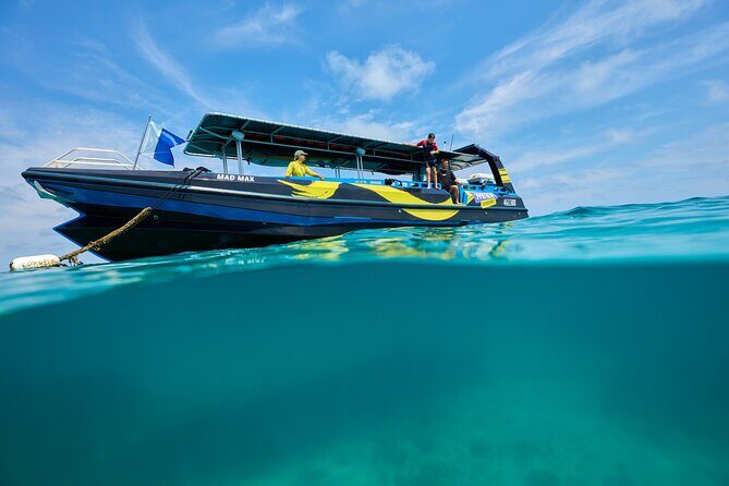 Cairns Half Day Tour a Great Barrier Reef Snorkeling Experience - Frequently Asked Questions