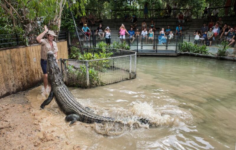 Cairns: Hartley's Crocodile Adventures Visit with Transfer - Key Points