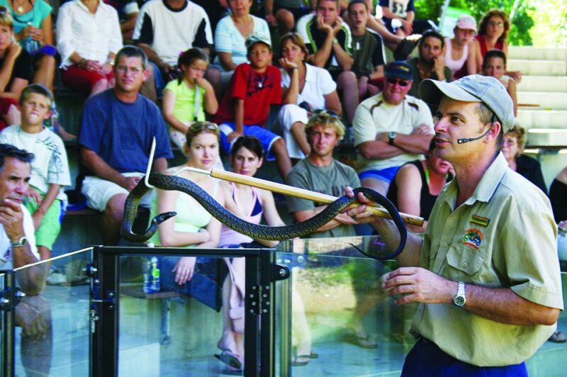 Cairns: Hartley's Crocodile Adventures Visit with Transfer - The Itinerary: What to Expect