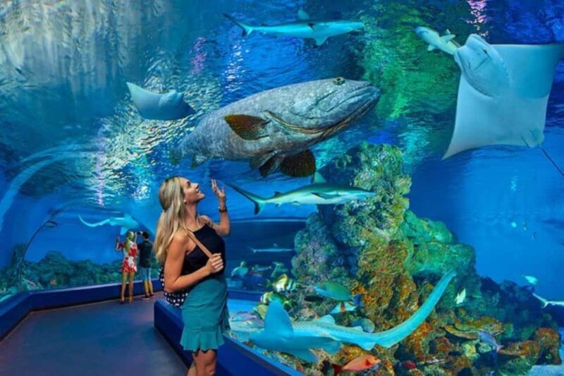 Cairns: Hot Air Balloon Flight & Cairns Aquarium Entry - Who Should Consider This Tour?