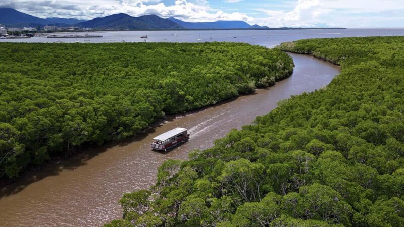Cairns: Immersive Small Group Indigenous Cultural Experience - Bush Walk and Traditional Knowledge