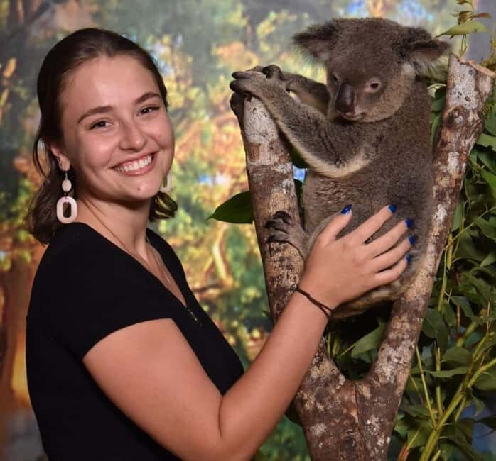 Cairns Koalas and Creatures Entry Ticket with Koala Photo - What to Expect at Cairns Koalas and Creatures