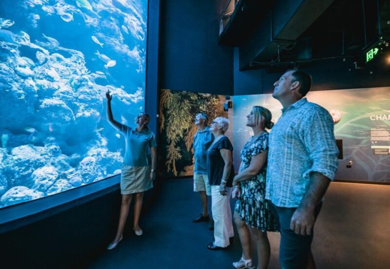 Cairns: Night at the Aquarium Guided Tour & 2 Course Dinner - Cairns: Night at the Aquarium Guided Tour & 2 Course Dinner