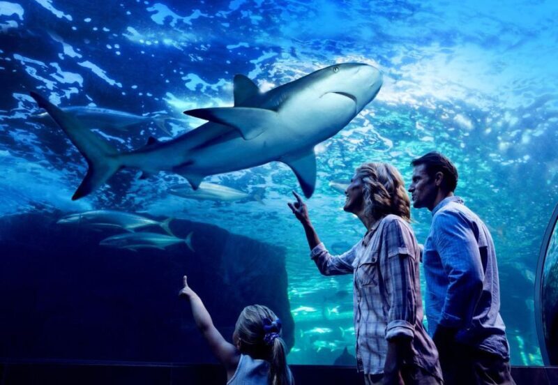 Cairns: Night at the Aquarium Guided Tour & 2 Course Dinner - Final Thoughts