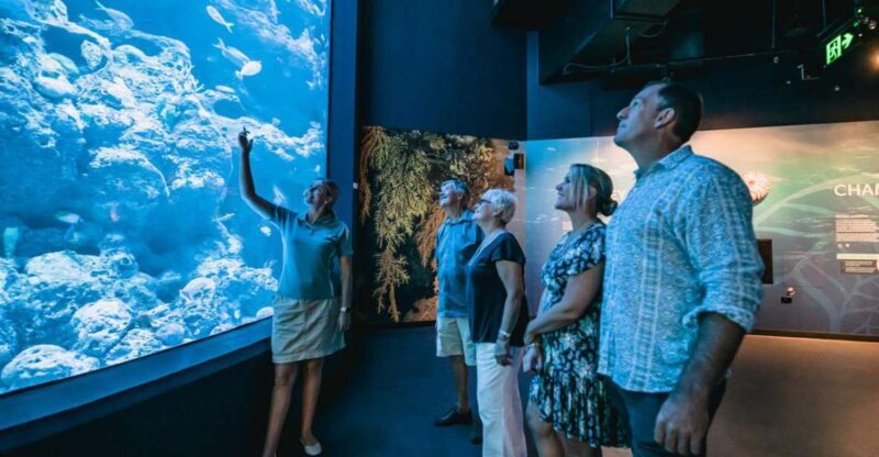 Cairns: Night at the Aquarium Guided Tour - Key Points
