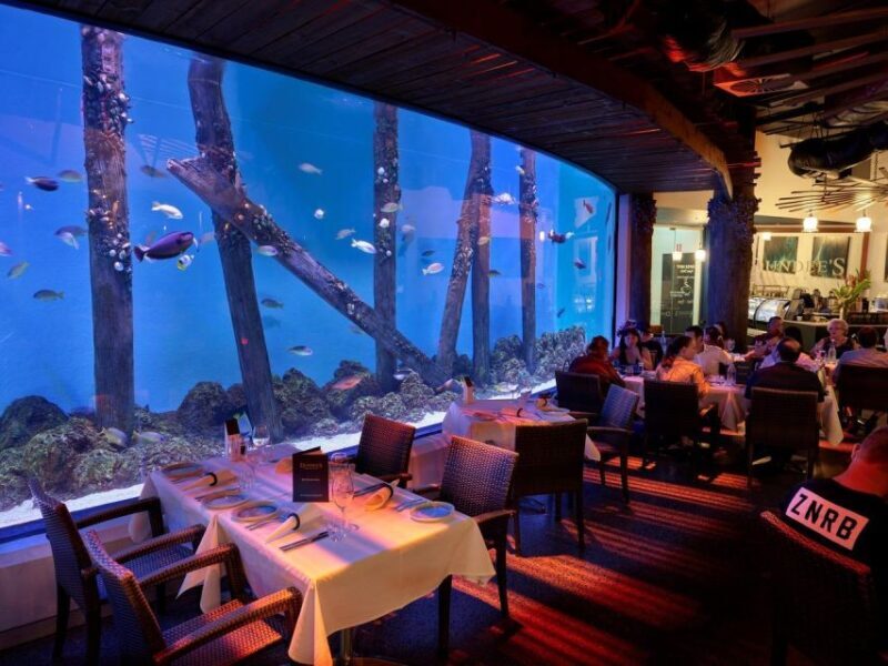 Cairns: Night at the Aquarium Guided Tour - An Honest Look at Cairns’ Night at the Aquarium Tour