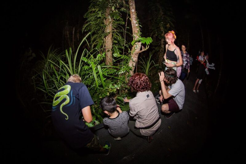 Cairns: Night Walk in Cairns Botanic Gardens - Final Thoughts: Is It Worth It?