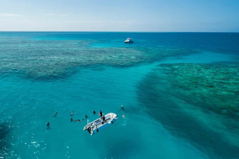 Cairns: Outer and Coral Cay Snorkel and Dive Cruise - Cairns: Outer and Coral Cay Snorkel and Dive Cruise – A Deep Dive into the Reef Experience