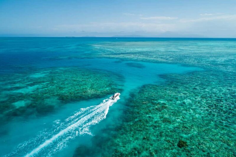 Cairns: Outer and Coral Cay Snorkel and Dive Cruise - What Makes This Tour Stand Out?